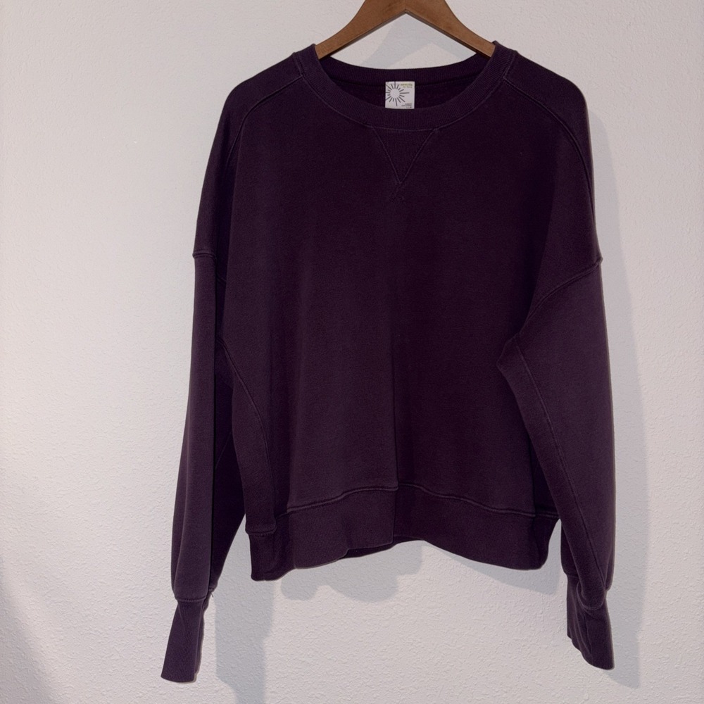 Offline by Aerie Cloud Classic Fit Crewneck Sweatshirt Purple Size L Comfort